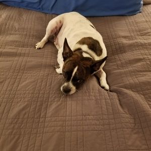 Meet your Posher, Carl